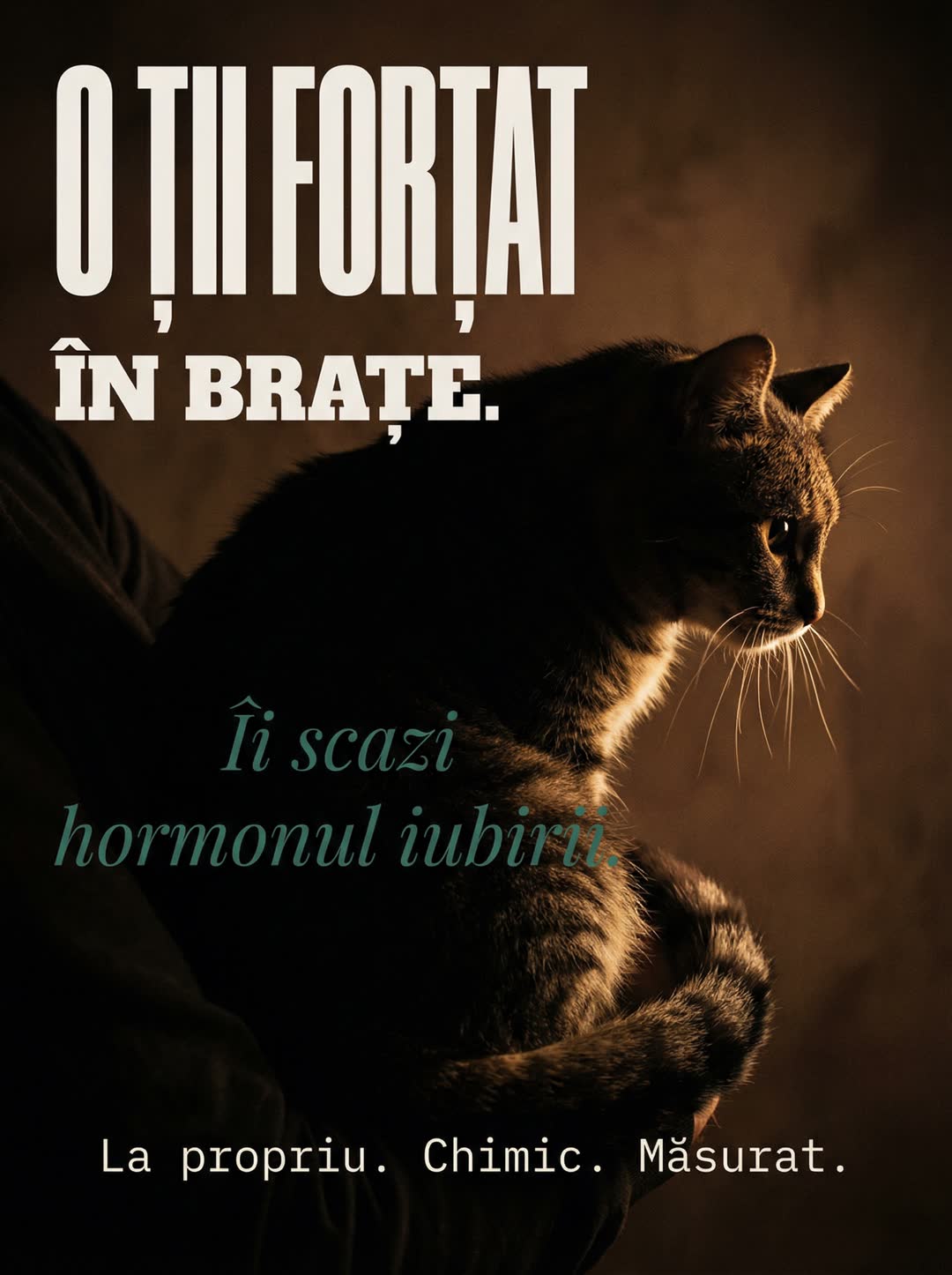 Cover carusel action UrbanCat 4, 7 slide-uri CTA puternic conversie pet brand TikTok